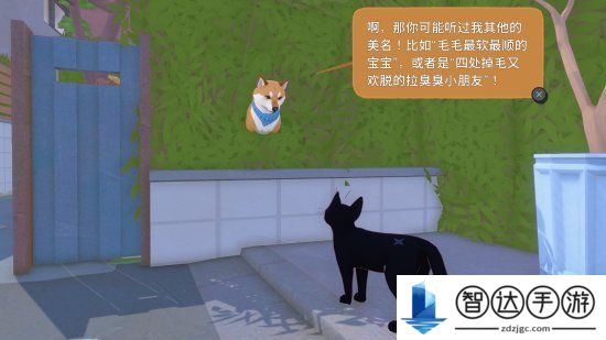 小猫咪大城市游戏售价 小猫咪大城市游戏多少钱