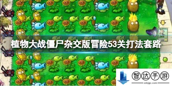 植物大战僵尸杂交版冒险模式53关打法 pvz杂交版53关怎么过